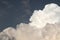 Skyscape. Cumulus clouds in close-up