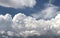 Skyscape. Cumulus clouds in close-up