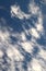 Skyscape. Cumulus clouds in close-up