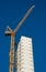 Skyscraper crane