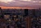 The skyscrapers around the Tokyo Tower at evening. Tokyo. Japan