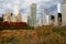 Skyscrapers of Chicago in autumn