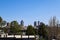 Skyscrapers, office buildings and apartments in the cityscape with clear blue sky and lush green trees in Atlanta