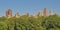 Skyscrapers peeking over the trees of Central Park, New York