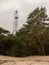 Skyward Beacon: A Communication Tower Emerging Above the Forest Canopy, Bridging Worlds