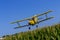 Skyward Guardians: Precision Pest Control by Low-Flying Crop Dusters Ensures Robust Fields and Healthy Crop Yields