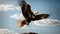 Skyward Symphony: An Eagle\\\'s Soaring Elegance Amidst the Blue Horizon