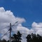 Skyward View: Streetlight and Sunny Skies