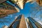 Skyward view of Sydney skyscrapers in downtown, Australia