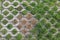 Slab of cement block floor, brick decorative grass surface texture wall , garden pavement sidewalk pattern with green grass