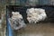 Slabs of concrete debris hanging on metal rebars in a demolished building