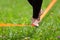 Slack line in the city park.