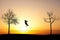 Slackliner in sunset