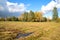 Slanted field and edge of the wood in the october day. Russia