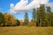 Slanted field and suburb of the wood in the October sunny day