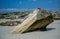 Slanted limestone rock on a rough seashore