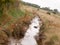 slanted meadow marshland river streaming running through creative shot angle