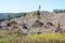 Slash piles and clear cut Douglas fir forest