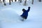 Slashing powder in the backcountry