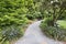 Slate Garden Path with Flowering Plants and Trees