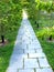 Slate Pathway Through Park, Lined with Healthy Trees