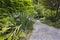 Slate Stone Garden Path with Oregon Irises