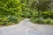 Slate Stone Garden Path with Plants