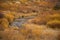 Slater Creek In California Park, Colorado