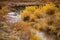 Slater Creek In California Park, Colorado