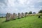 Slaves memorial with statues sculptures on Martinique island