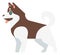 Sled dog icon. Happy husky. Cute siberian animal