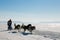 Sled dog race Husky in winter