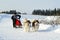 Sled Dog Racing