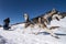 Sled dog scene in a winter day