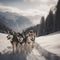 Sled dogs husky huskies in a harness on the snow, close-up,