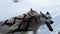 Sled dogs take a rest break during a dog sled run in Lappland Sweden, one dog jumping up is trying to continue the ride