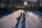 Sled dogs on a winter trail during a large full moon.