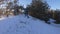 Sledding in the winter forest of students of school number 136 in Pridneprovsk