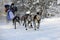 Sleddogs sport. Dog Sled Racing in Winter.