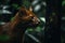 A sleek and agile Jaguarundi stalking its prey - This Jaguarundi is stalking its prey, showing off its sleek and agile nature.