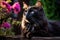 Sleek Black Cat Perched on Weathered Fence in Enchanting Garden