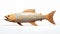 Sleek Carved Wood Fish: Digital Illustration Of Engraved Fish In Light Brown And Dark Azure