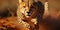 A sleek cheetah, muscles taut, captured midstride against a blurred savannah backdrop, embodyi