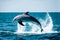 A sleek dolphin leaping from the ocean\\\'s surface with grace and exuberance.