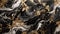 Sleek Elegance: Black Forest Marble\\\'s Sophisticated Texture. AI Generate