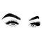 Sleek fashion illustration of the eye with luxe makeup and natural eyebrow. Hand drawn vector idea for business visit cards, templ