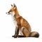Sleek Fox In Lifelike Representation: Stunning National Geographic Photo