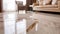 Sleek and Modern Living Room with Elegant Marble Flooring.