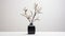 Sleek Oriental Minimalism: Unique Magnolia Flower Arrangement In Vase
