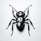 Sleek And Polished Black Ant Icon With Refined Details